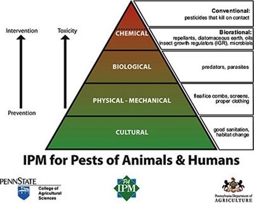 IPM